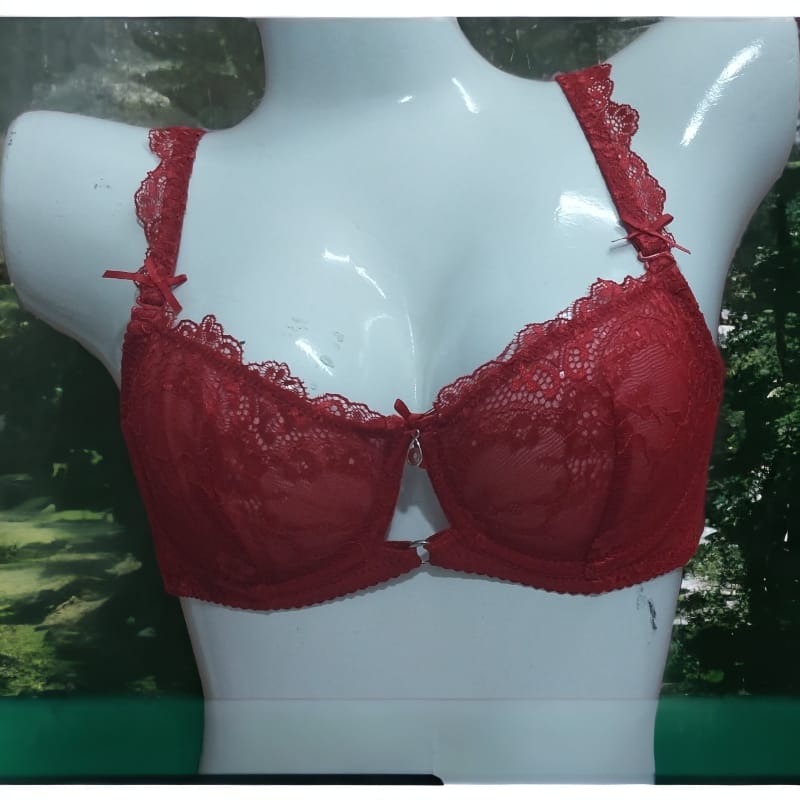 Non padded Net Wired Lace Bra